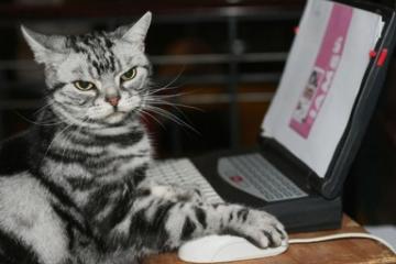 世俱杯决赛-跨越东西部的宿命对决，哈登西决生死战接管比赛，火箭淘汰凯尔特人创历史