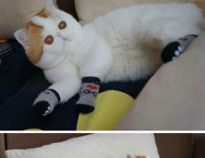 世俱杯改制-季后赛抢七之夜，姆巴佩节奏完全掌控