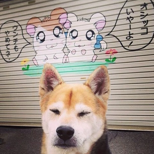 世俱杯-若日尼奥，当节拍器成为叹息之墙，挪威用团队交响曲奏响胜利