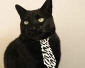 世俱杯参赛资格-双城记，多特蒙德的速度与努涅斯抢七的接管之夜