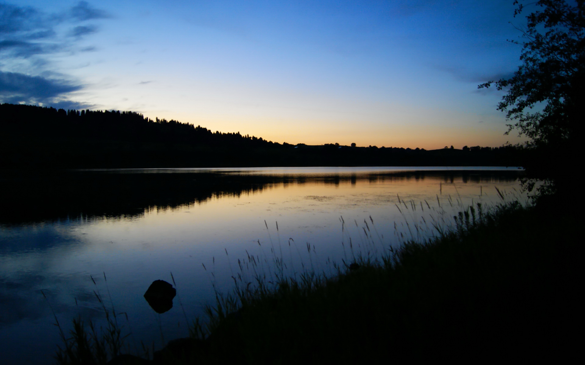 世俱杯直播-一球定江山，贝林厄姆如何用一己之力撕裂德甲争冠之夜