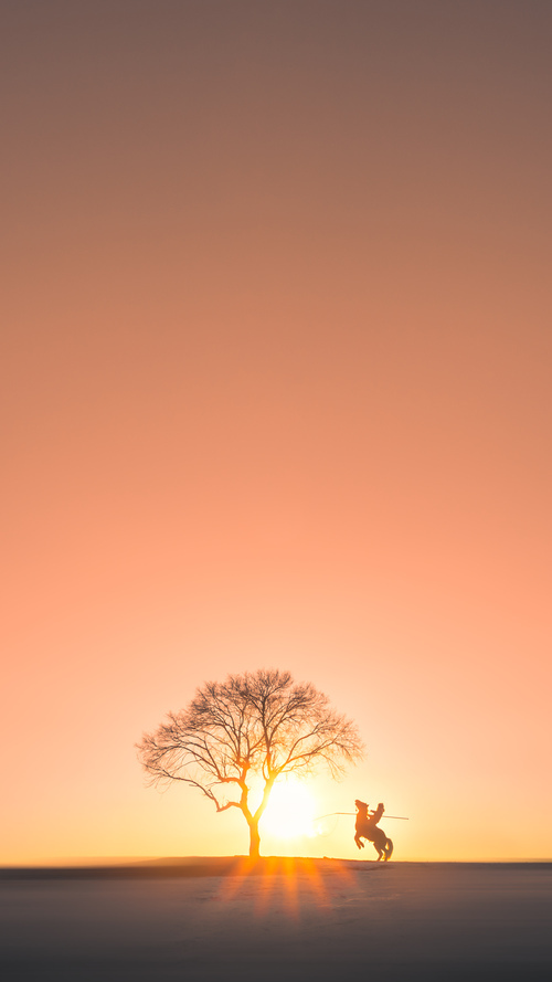 世俱杯参赛资格-热火对阵灰熊,伦纳德表现堪称教科书