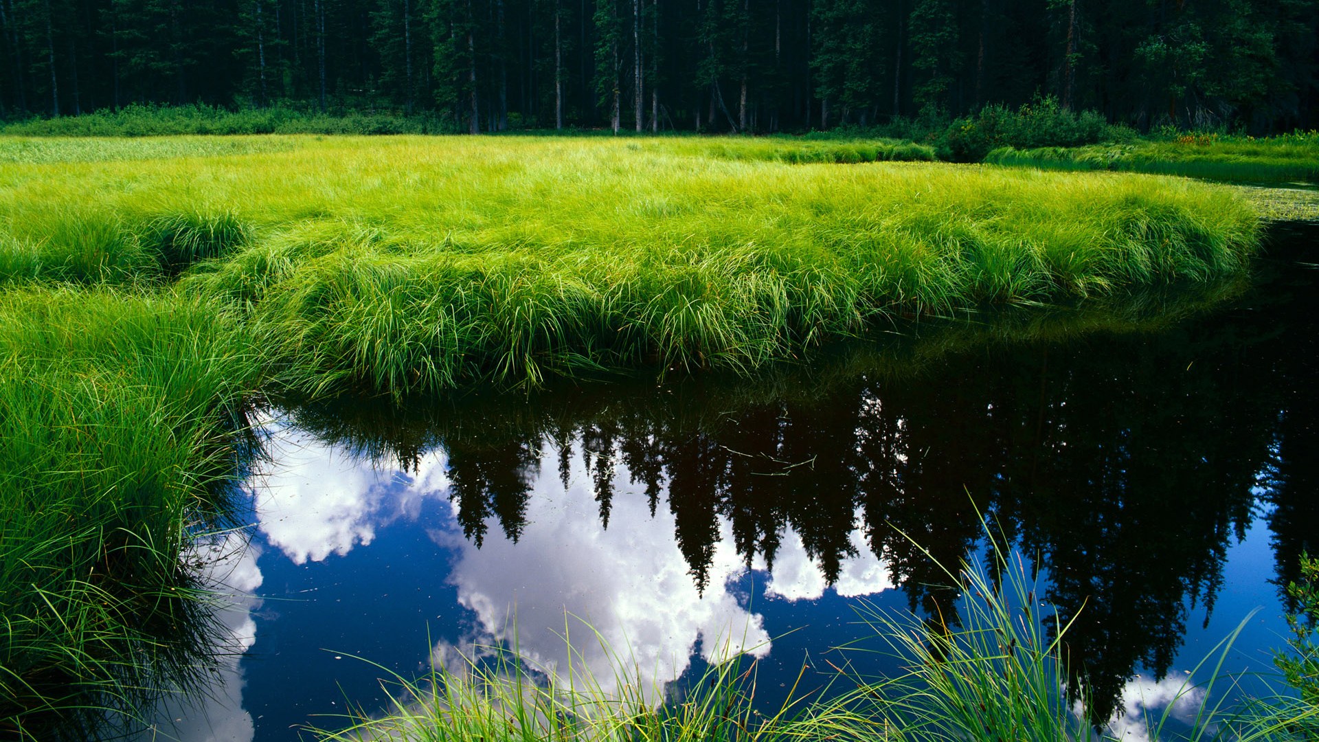 世俱杯直播-奥运周期关键焦点战，安哥拉狂胜哥斯达黎加，冲击奥运资格